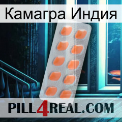 Камагра Индия 26